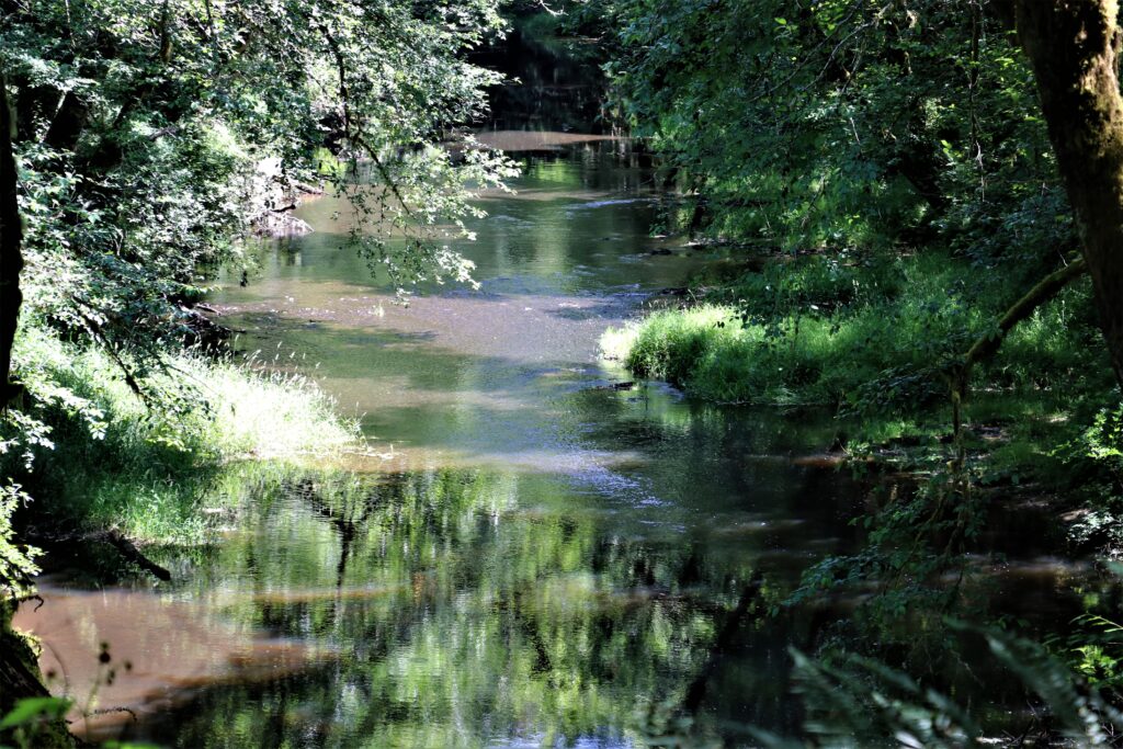 Smith creek beauty