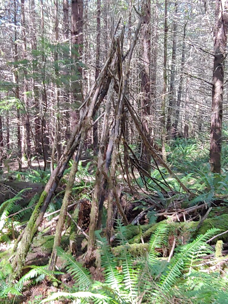 Teepee near Jill's