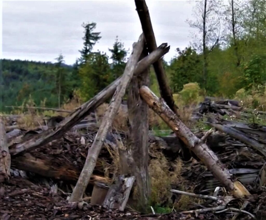 structure of new friends near Centralia